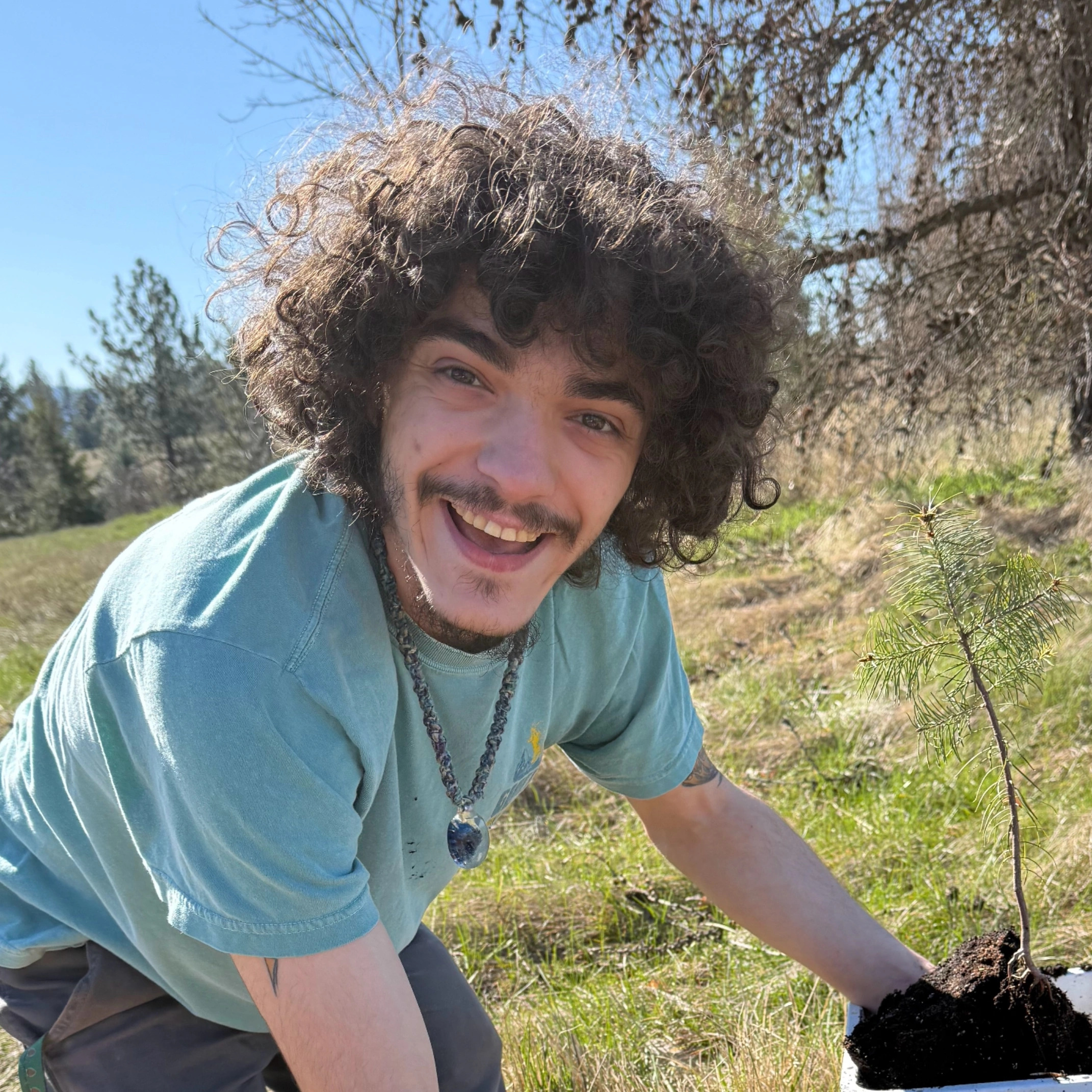 Foothills Planting