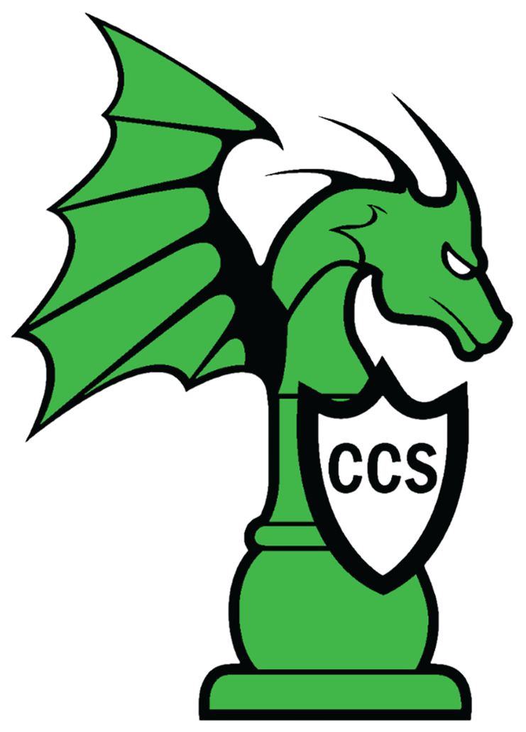 Continuous Curriculum School